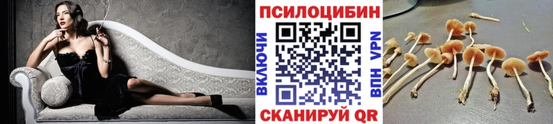 что такое Шатура Галлюциногенные грибы прущие грибы