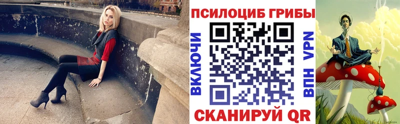 Псилоцибиновые грибы GOLDEN TEACHER Шатура